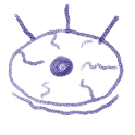 OCZKO logo