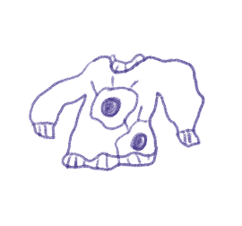 Sweater illustration